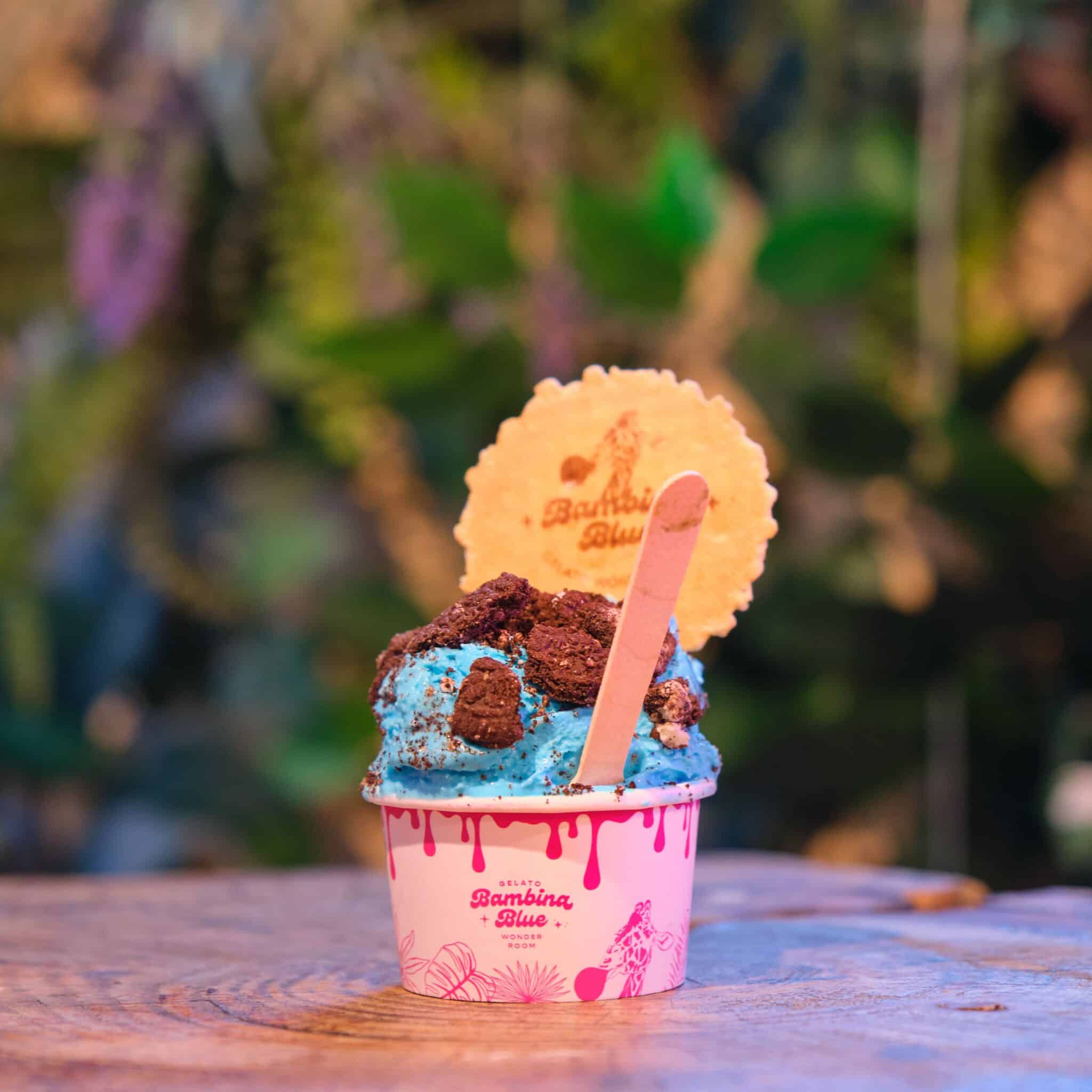 Ice Cream NYC 3 Top Picks for a Hot Summer Bambina Blue